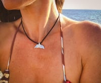 Coda di Balena - Small