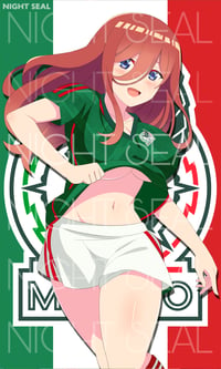 Image 1 of WAIFUS MEX FLAG