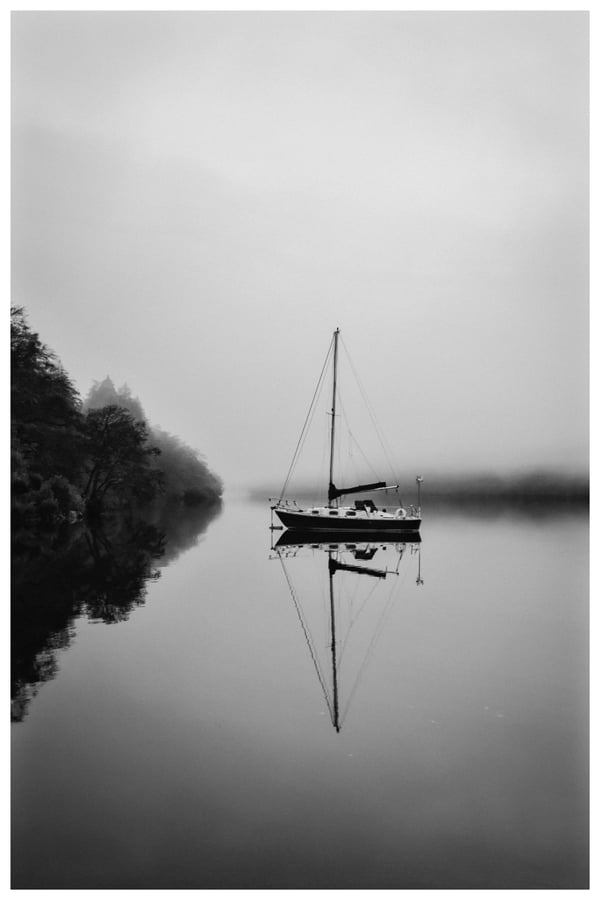 Image of Morning Still