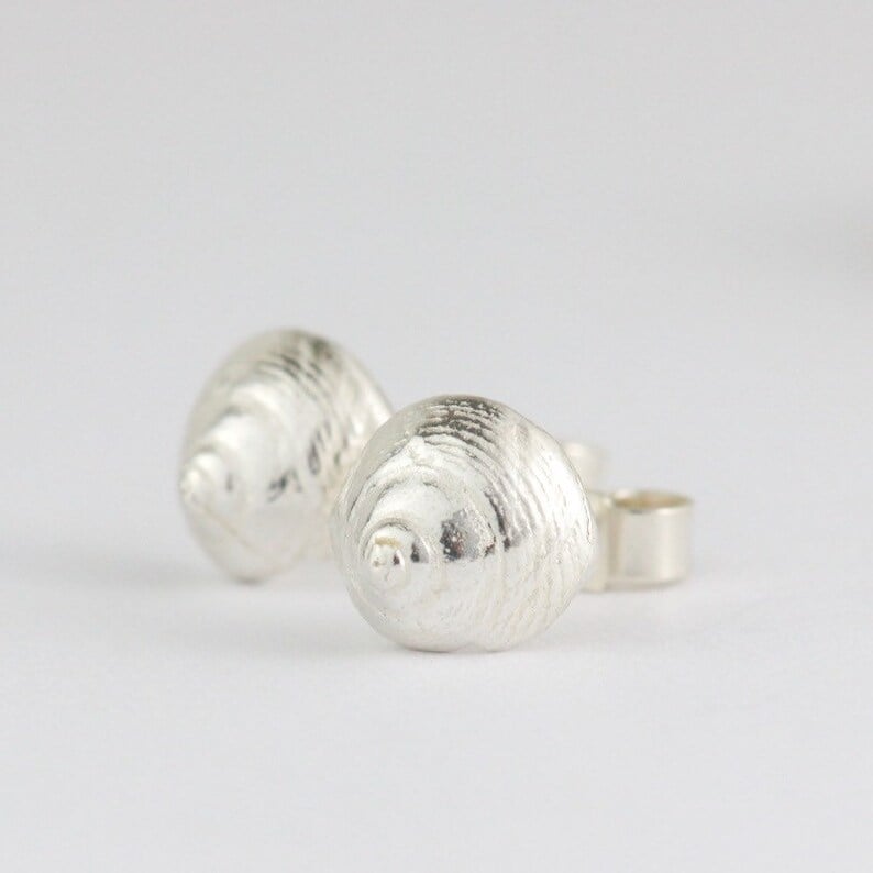 Image of silver shell earrings, winkle shell stud earrings