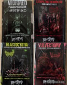 Image of Officially Licensed Extirpating The Infected/Blastocystia/Vulvectyomy/Wormed Full Color Banner Flags