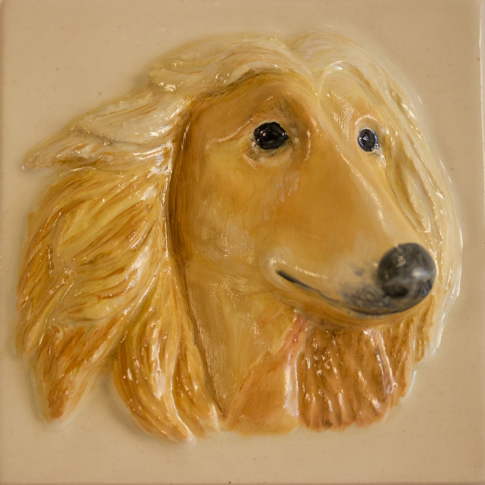 Image of LLAMO the Afghan 
