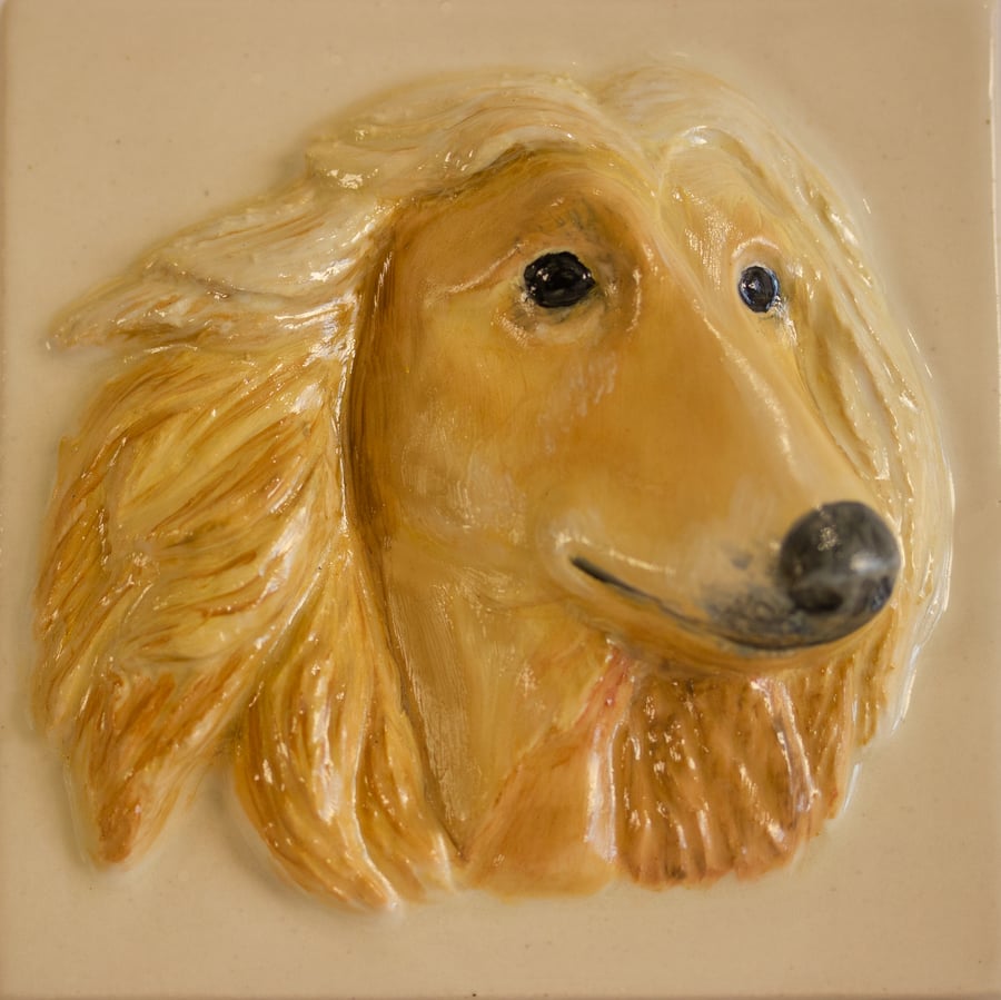 Image of LLAMO the Afghan 