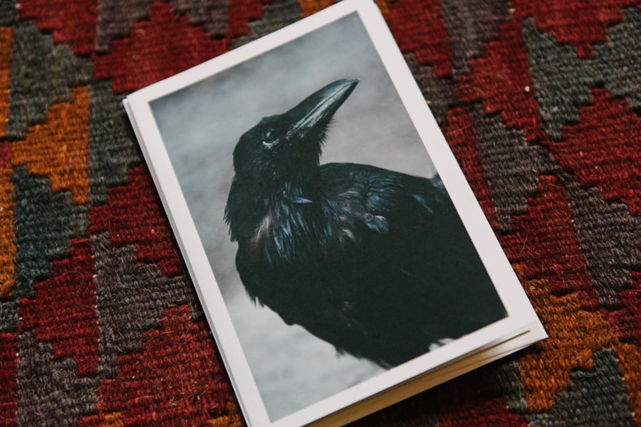 Image of raven greeting card