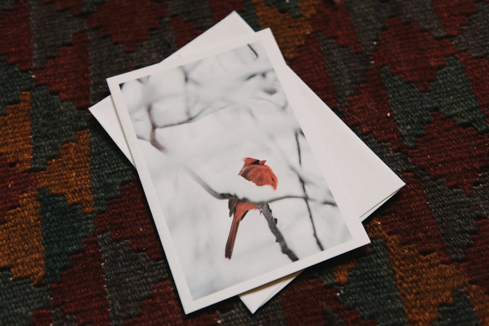Image of cardinal greeting card