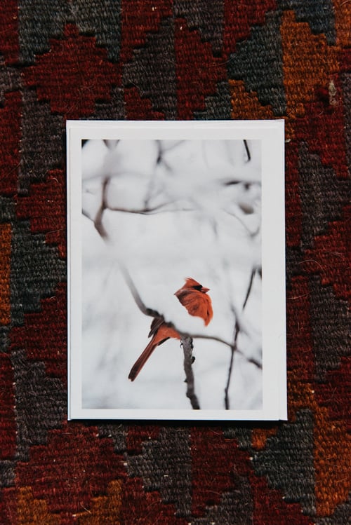 Image of cardinal greeting card