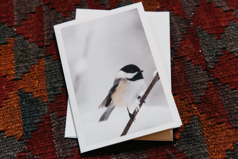 Image of black capped chickadee greeting card
