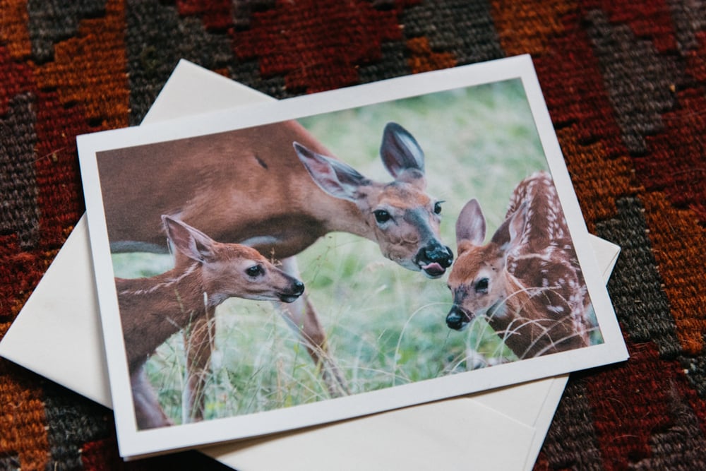 Image of doe & fawns deer greeting card