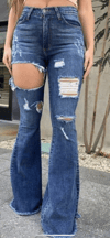 Full Length High Rise Flare Jeans