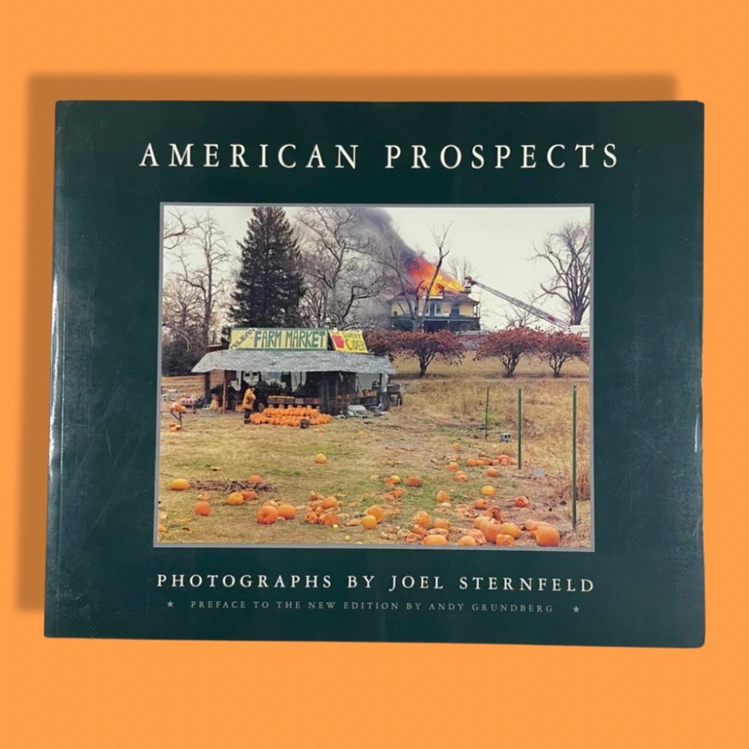 新品　American Prospects Joel sternfeld 写真集 American Prospects — Joel Sternfeld