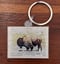 Image of OK Bison map keychain