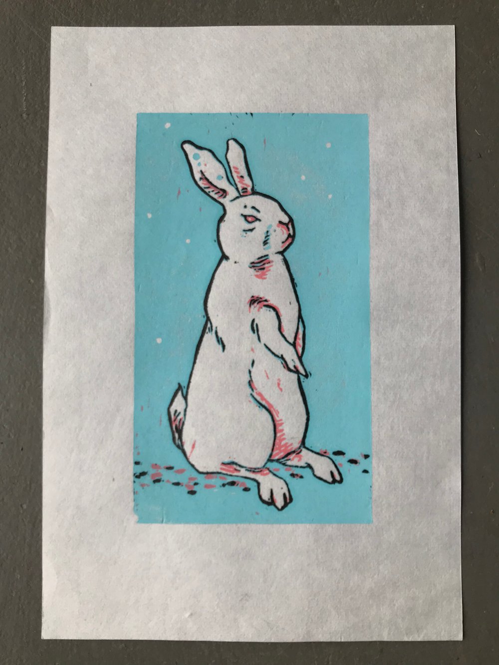 Image of Untitled bunny