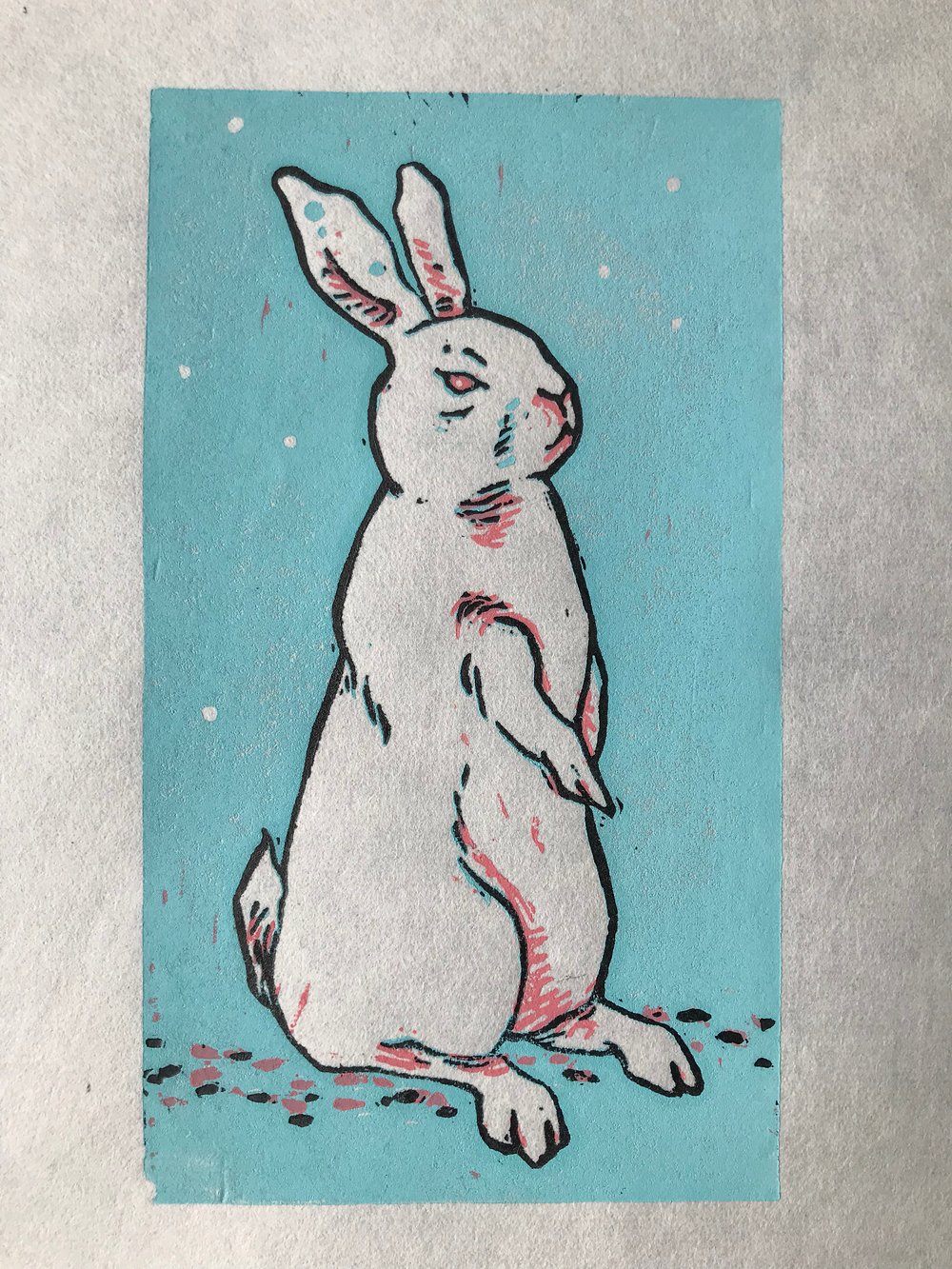 Image of Untitled bunny