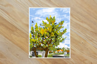 Orange Tree in Gardena, California | Print