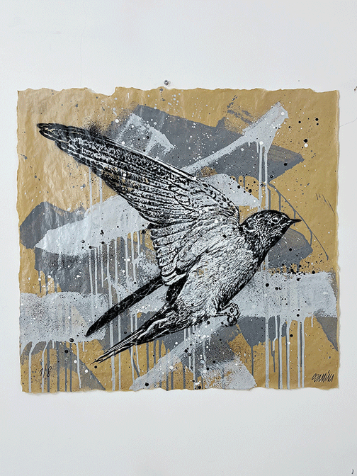 Image of O VOO / Stencil Limited Edition