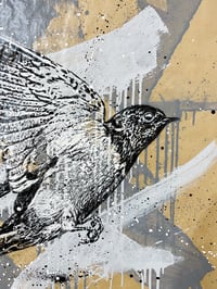 Image 5 of O VOO / Stencil Limited Edition