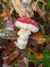 Image 2 of Baby Mushroom Dragons - Redcap