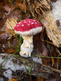 Image 4 of Baby Mushroom Dragons - Redcap