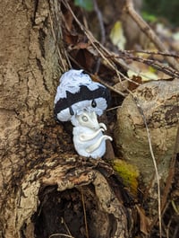 Image 2 of Baby Mushroom Dragons - Black Caps