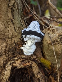Image 3 of Baby Mushroom Dragons - Black Caps