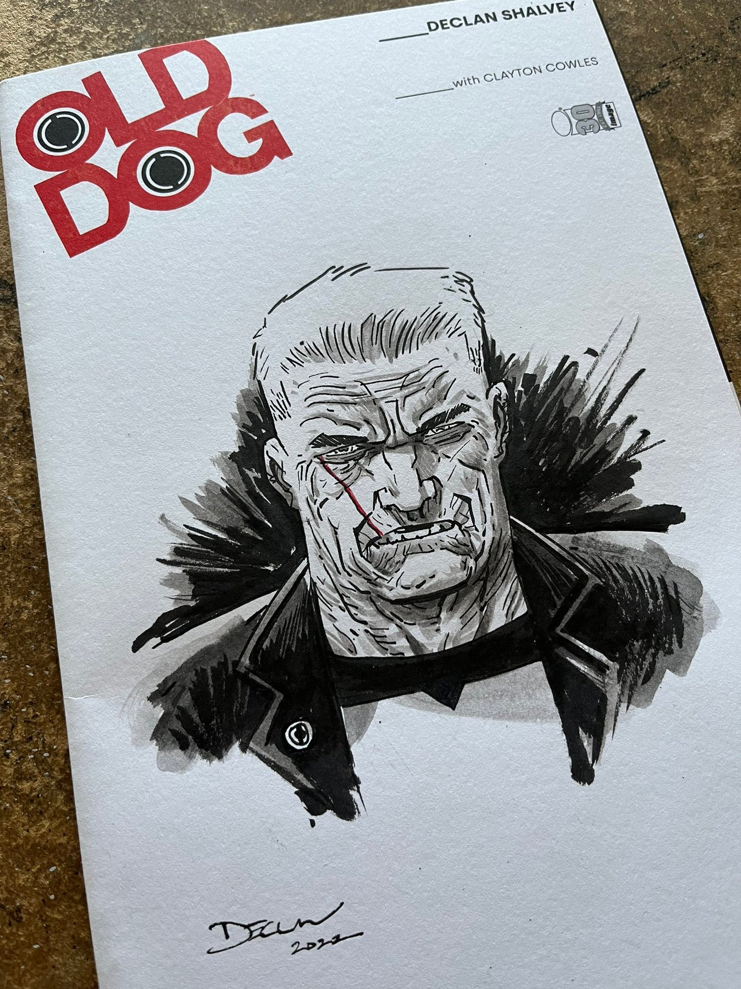 Image of OLD DOG #1 with sketch