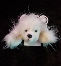 Image of Poodle coin purse/key chain 