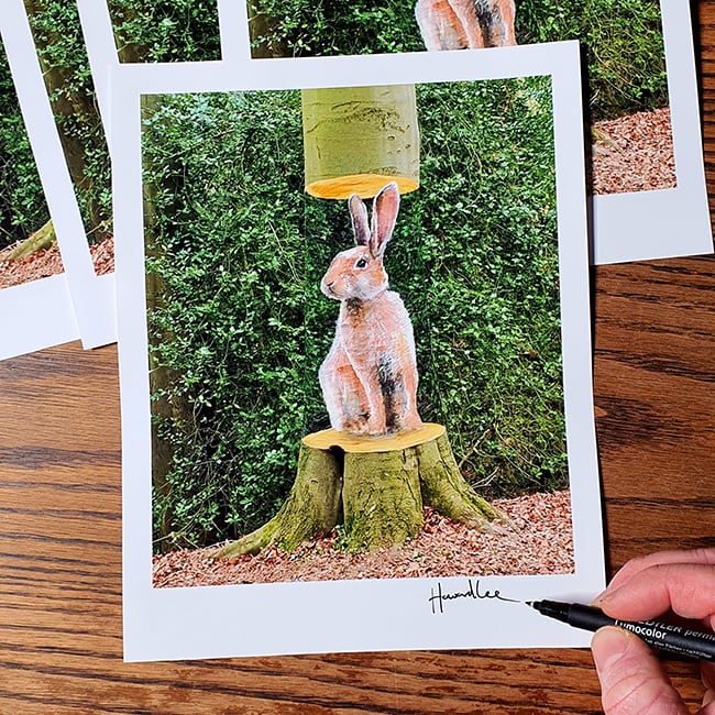 Image of Rabbit Tree Signed 10 x 8 Print