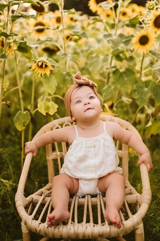 Image of Sunflower Minis | June 23rd
