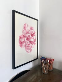 Image 2 of Peonies
