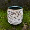 Kelp Forest Cup