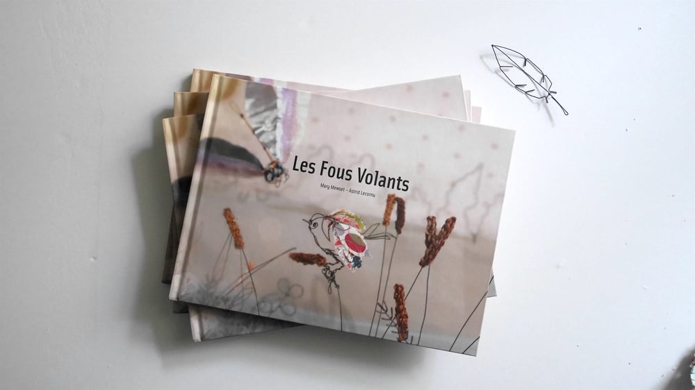Image of livre illustré "Les Fous Volants" à récupérer à Paris ou Rueil Malmaison