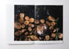 thirty-nine works from 2016-2021 - (booklet)