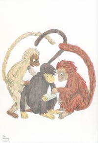 Image 1 of 3 Monkeys