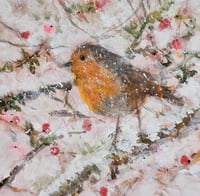 Winter Robin