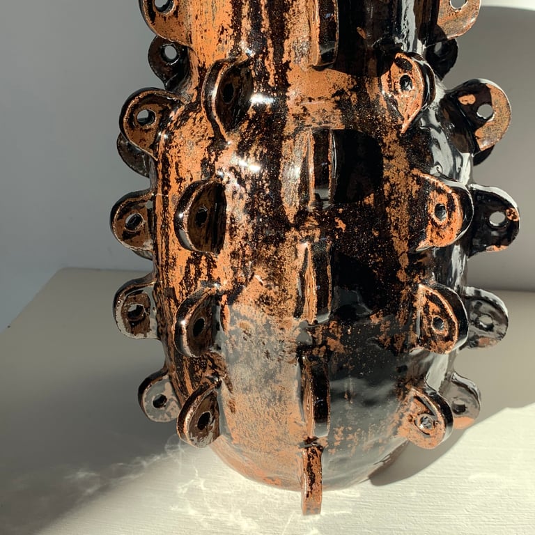 Erizo Seis Image 5