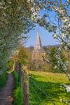 Shere in Spring