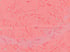 2023 Cosmic Calendar Image 3