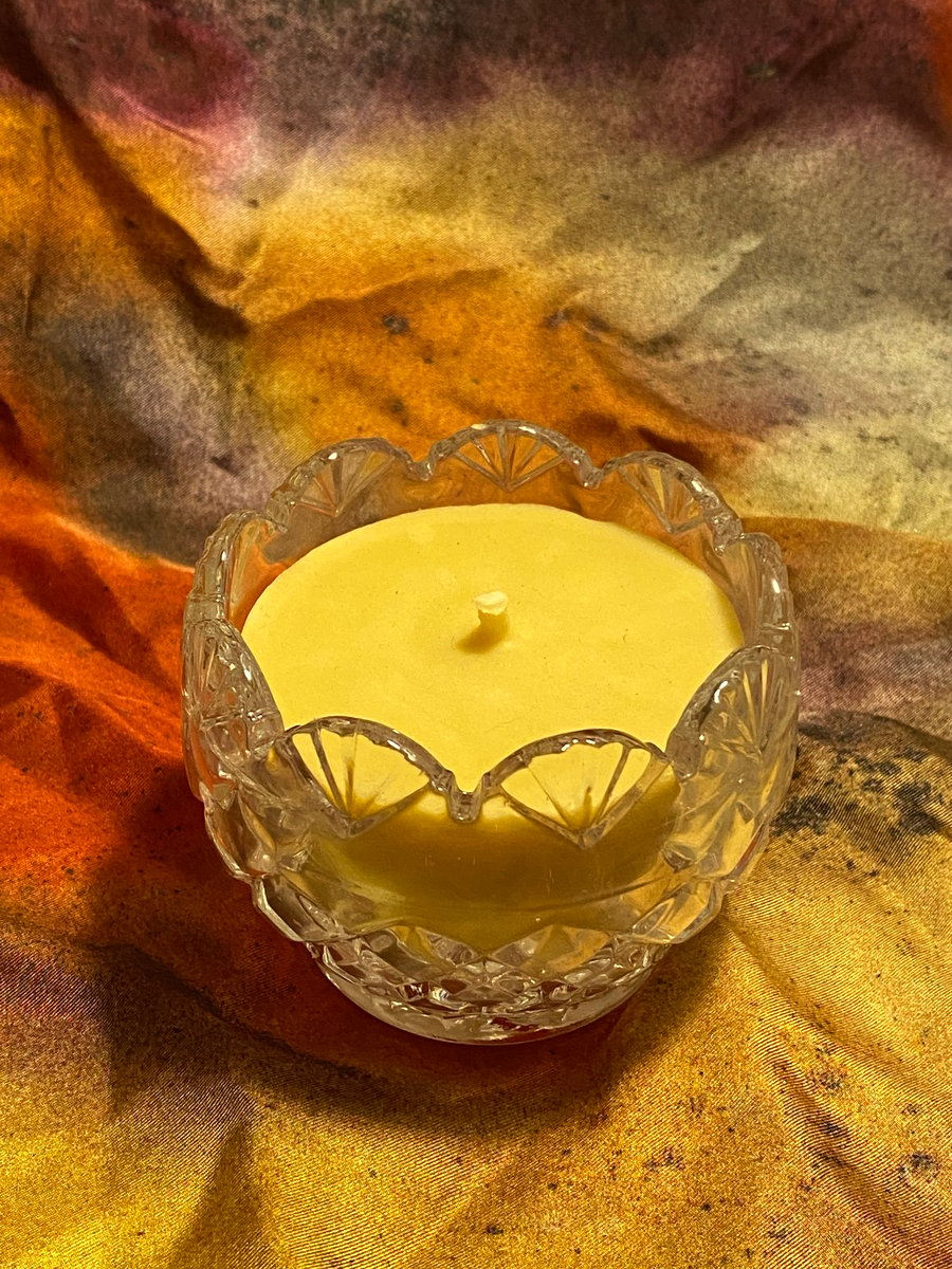 Pure Beeswax Tea Light Candles - Bulk Packs – Candlestock