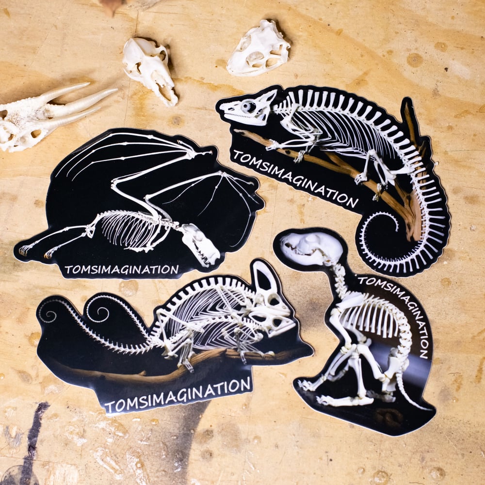 Pterodactyl Stickers - Free animals Stickers