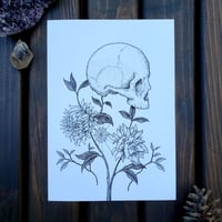 Flowers Art Print
