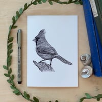 Northern Cardinal Greeting Card