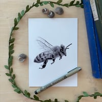 Honey Bee Greeting Card