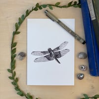 Widow Skimmer Dragonfly Greeting Card