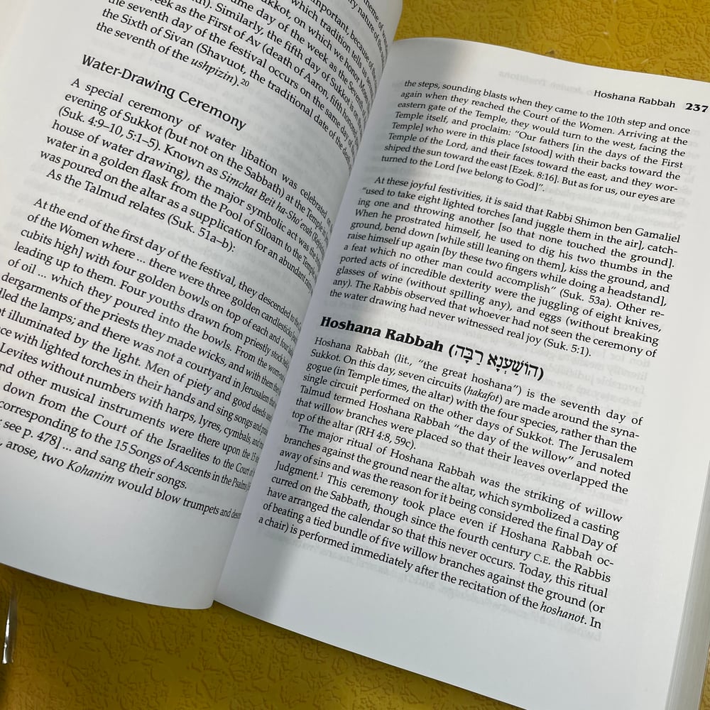 BK: Jewish Traditions by Ronald L. Rosenberg JPS Guide  (Jewish Publication Society)