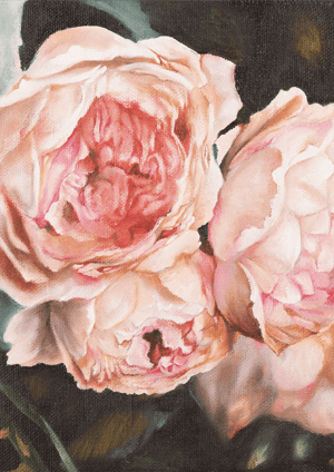 Image of Roses of Venus