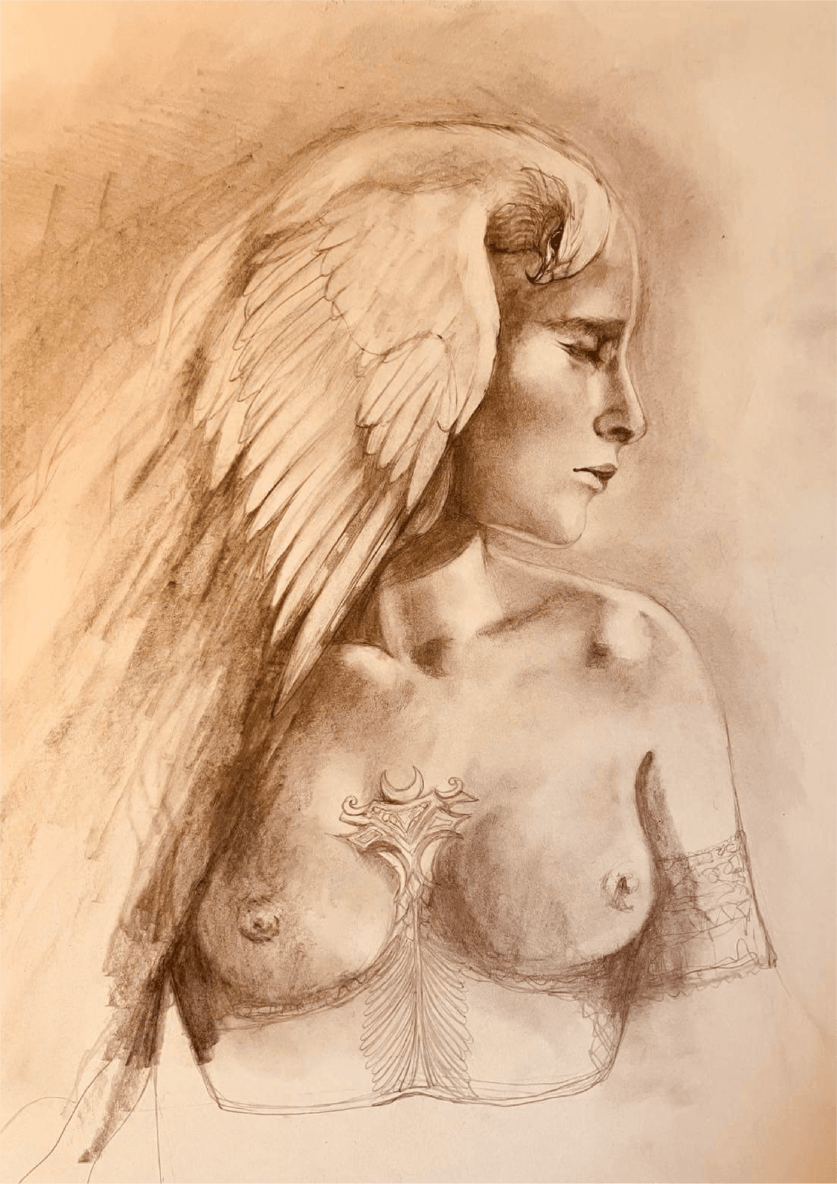 Image of Seer