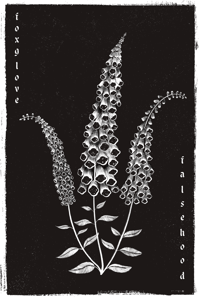 Foxglove: Falsehood