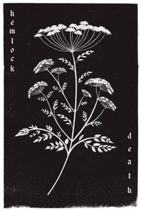 Hemlock: Death