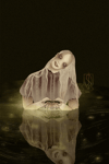 Lady of the Lake