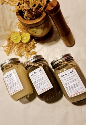 Image of Sea Moss Gel 16oz Perfectly Blended